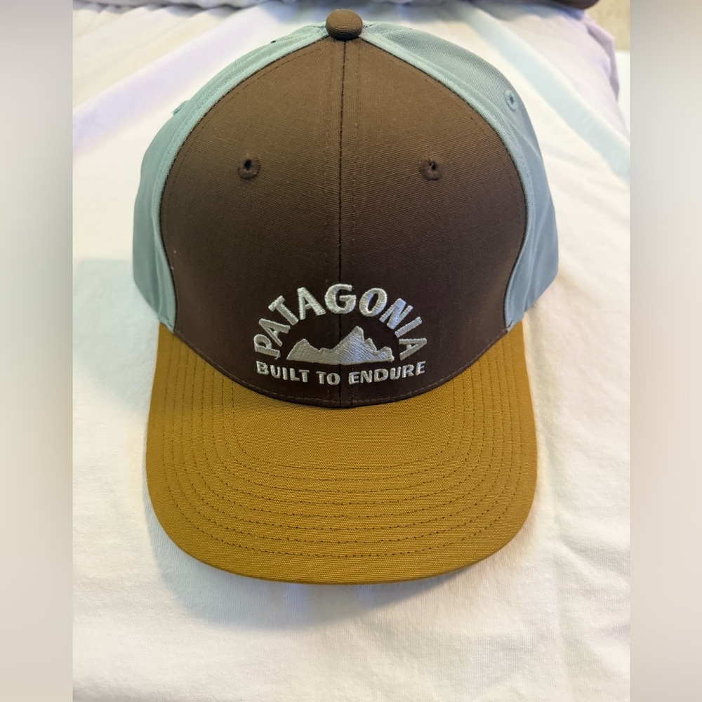 Patagonia roger that Brown and Light Blue Cap